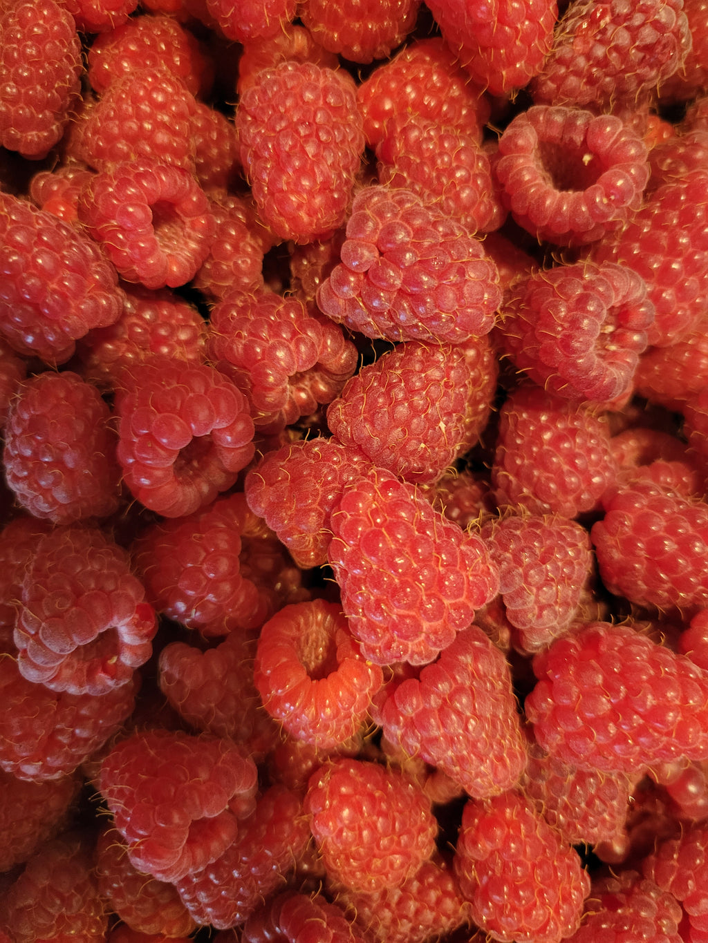 Raspberry Jam 8 oz