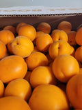 Apricot Jam 8 oz