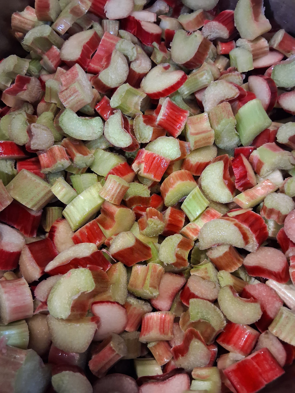 Rhubarb Jam 8 oz