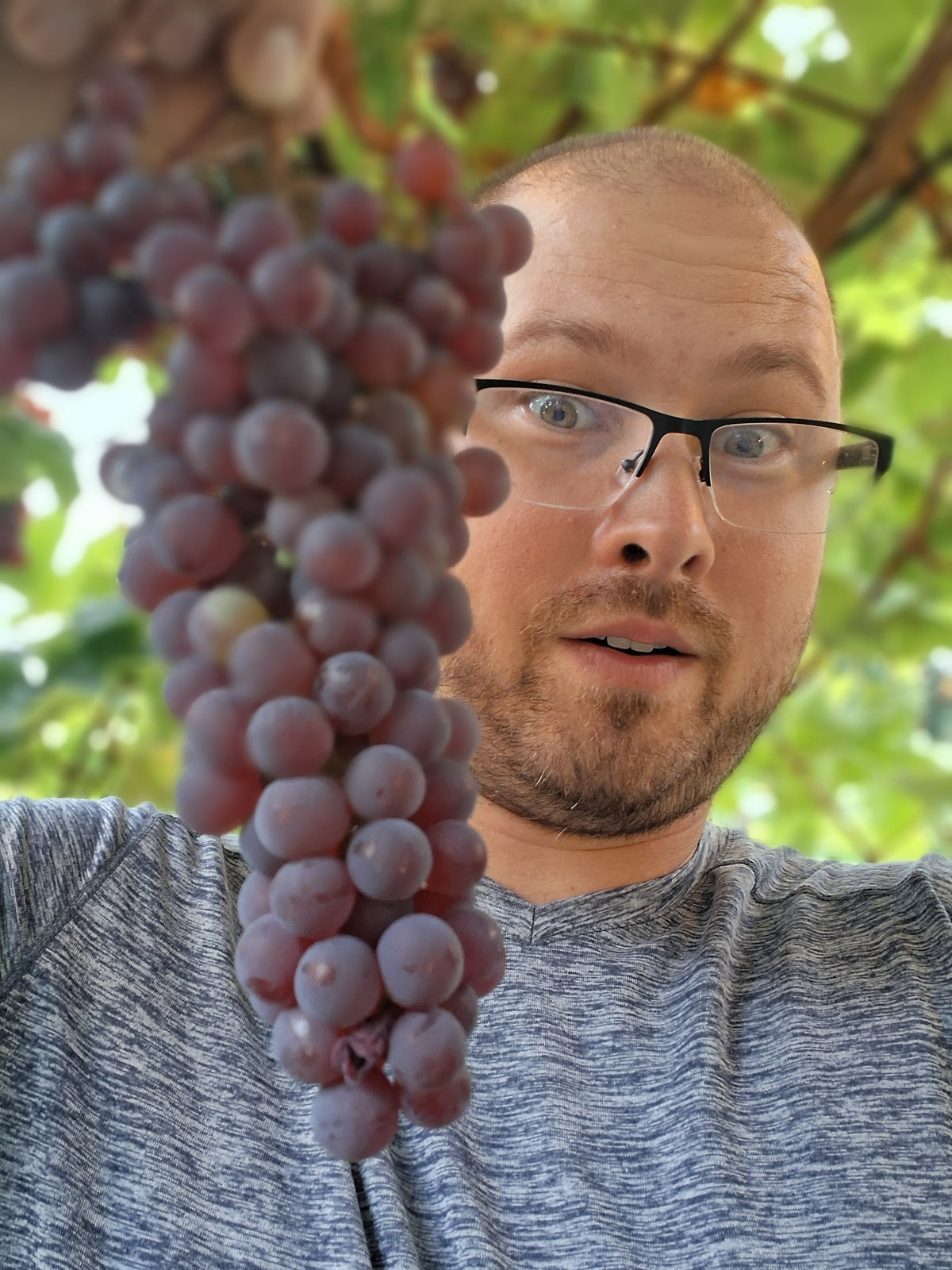 Reliance Grape Jam 8 oz