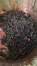 Mountain Huckleberry Jam 8 oz