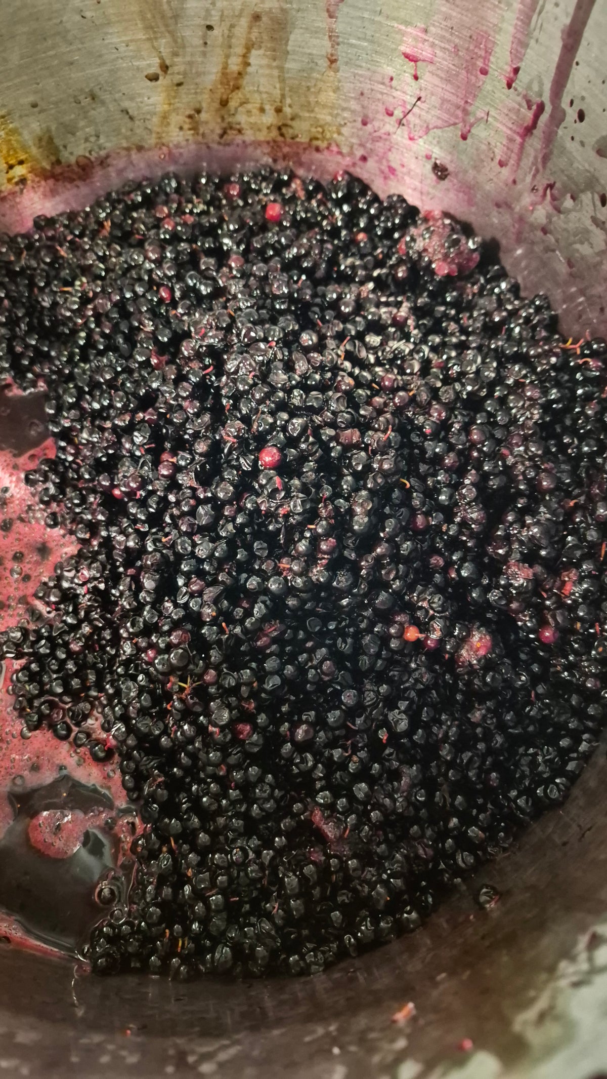 Mountain Huckleberry Jam 8 oz